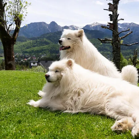 Turnia Bed & Breakfast Koscielisko