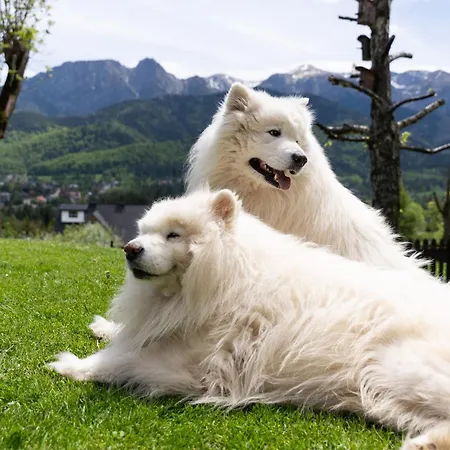 Turnia Bed & Breakfast 4*