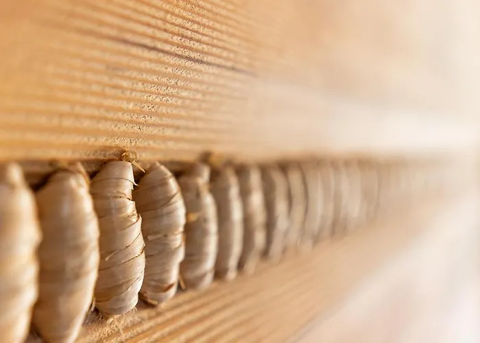 Nocleg ze śniadaniem Turnia 4*