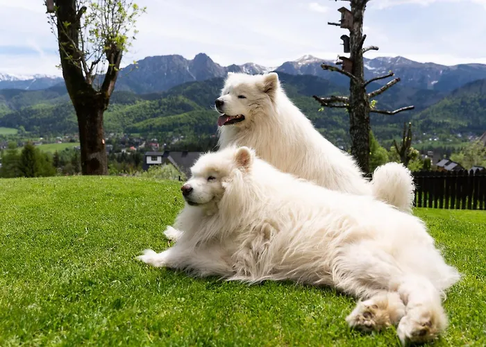 Turnia Nocleg ze śniadaniem Kościelisko