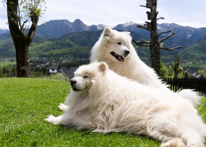 Turnia Nocleg ze śniadaniem 4*